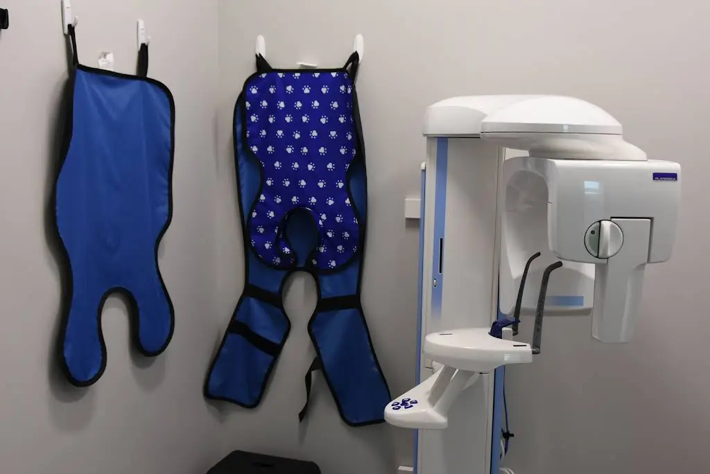 Sweet Tooth Pediatric Dentistry