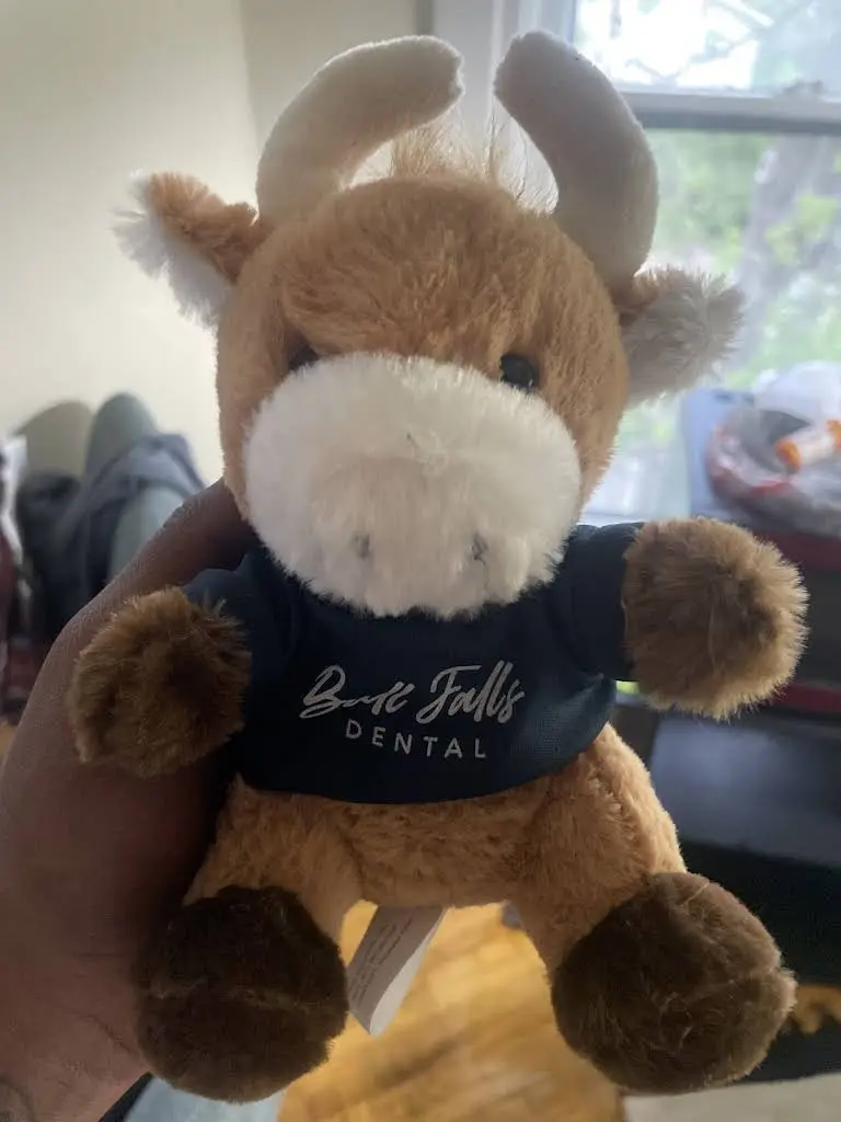 Bull Falls Dental