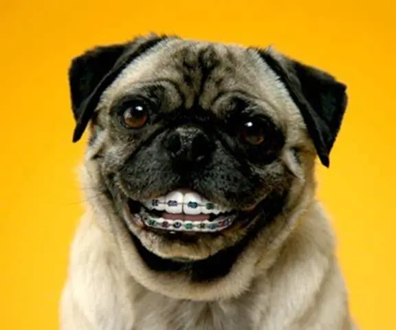 Dovorany Orthodontics