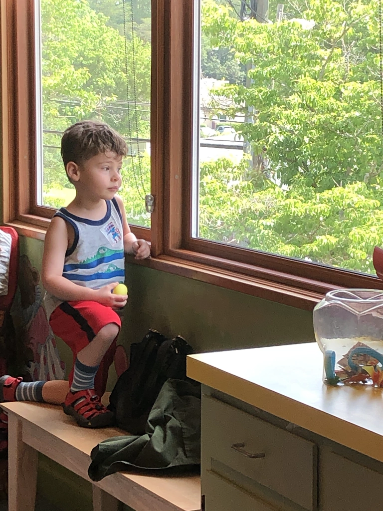 Schwartz Dentistry for Children