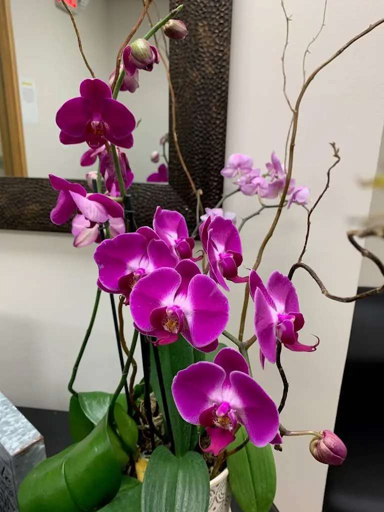Premier Family Dentistry Of Pittsburgh
