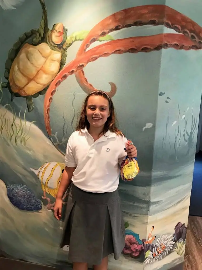 Cohen Orthodontics