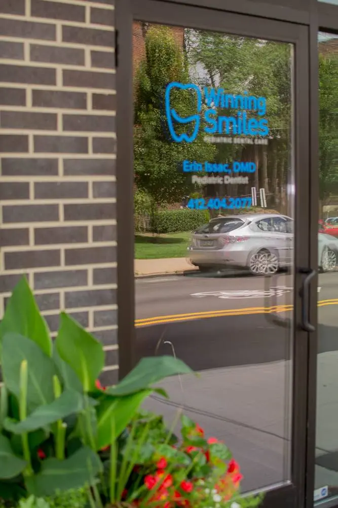 Winning Smiles Pediatric Dental Care