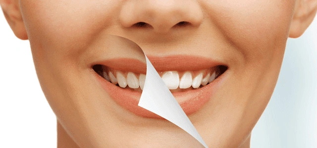 Vivid Dental