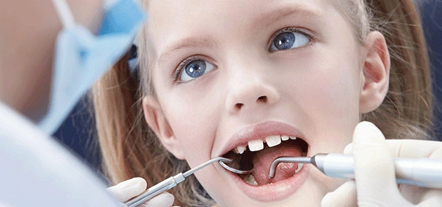 Vivid Dental