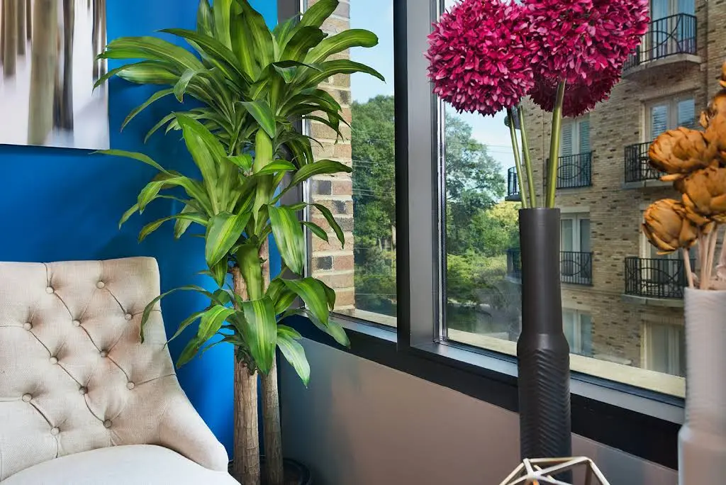 Modern Endodontics of Buckhead