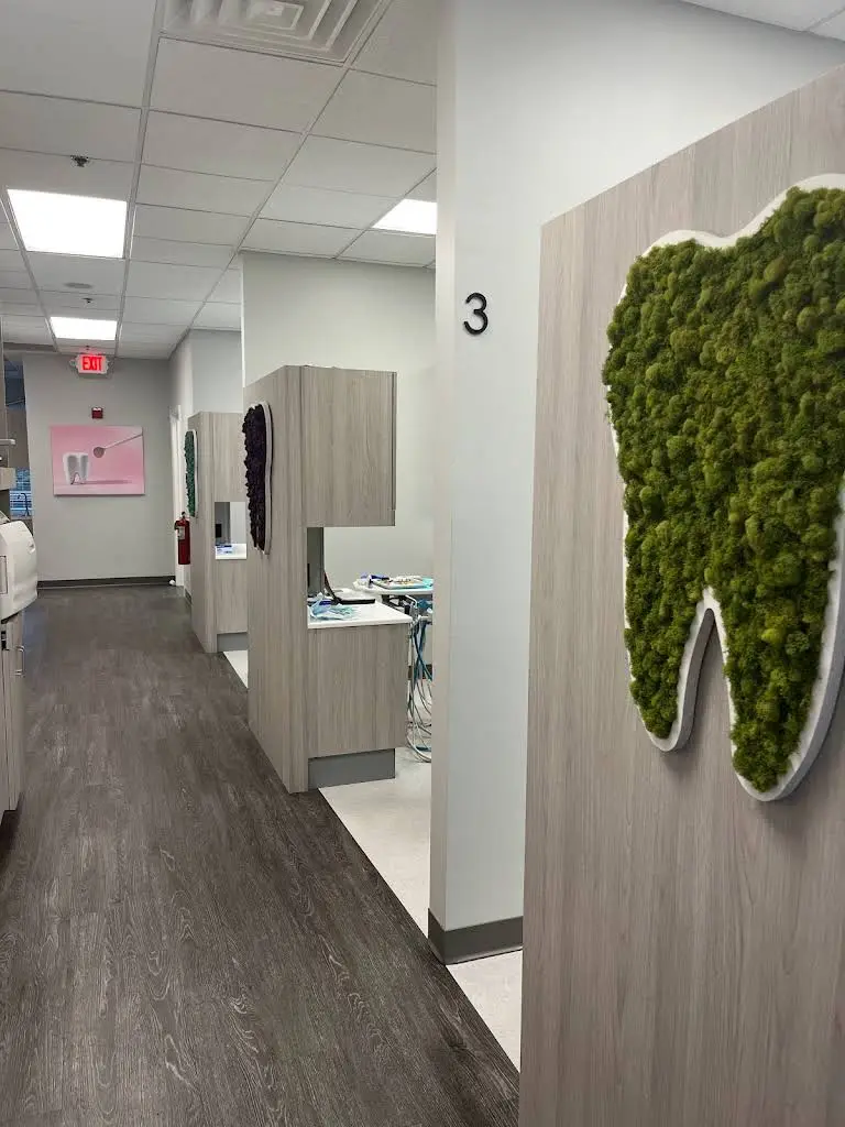 Kennestone Dentist