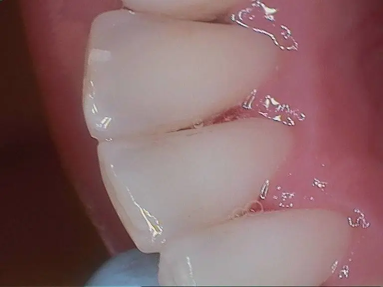 Biologic Dentistry