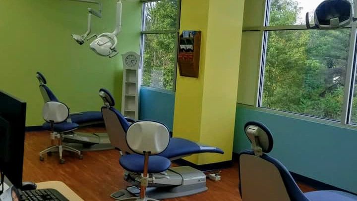 Lanz Pediatric Dentistry