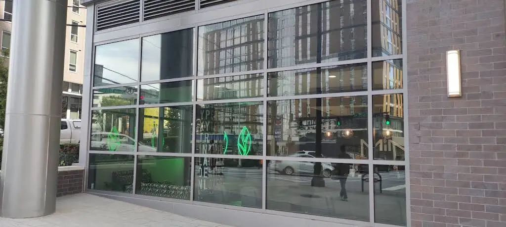 MINT dentistry