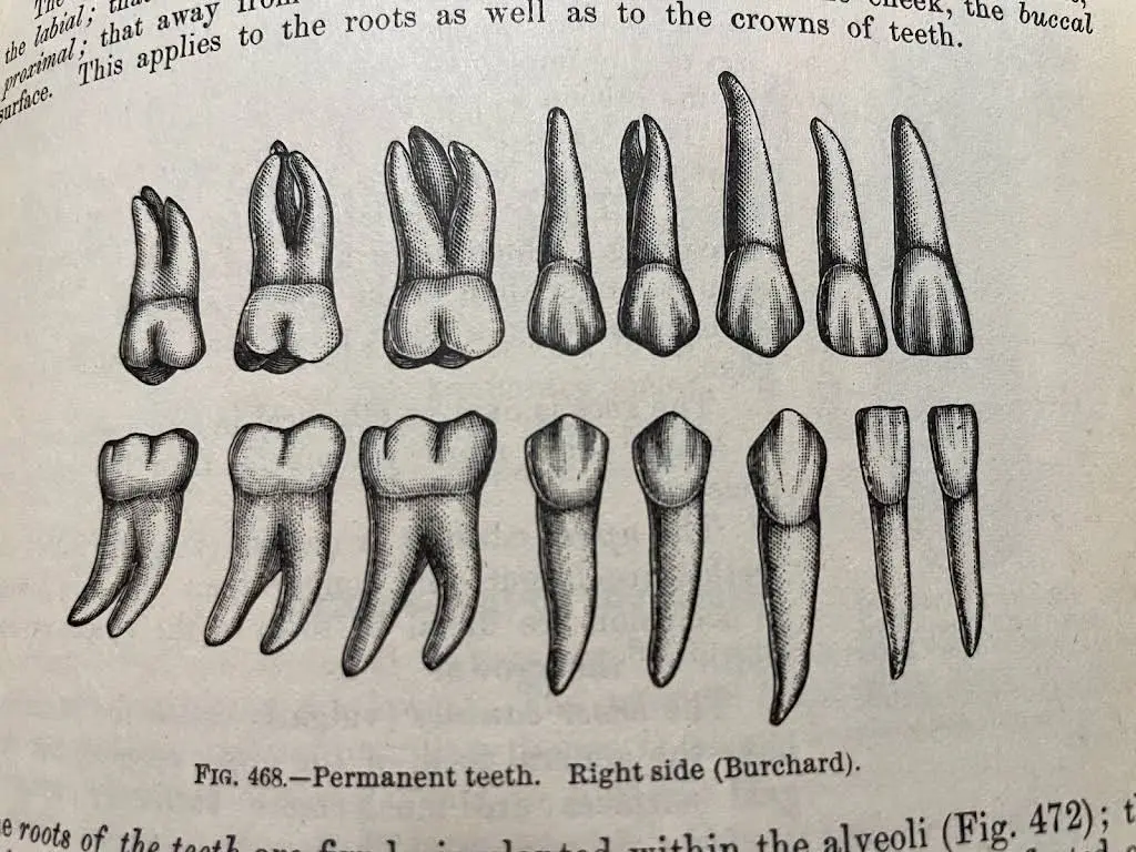 Generational Dental Associates