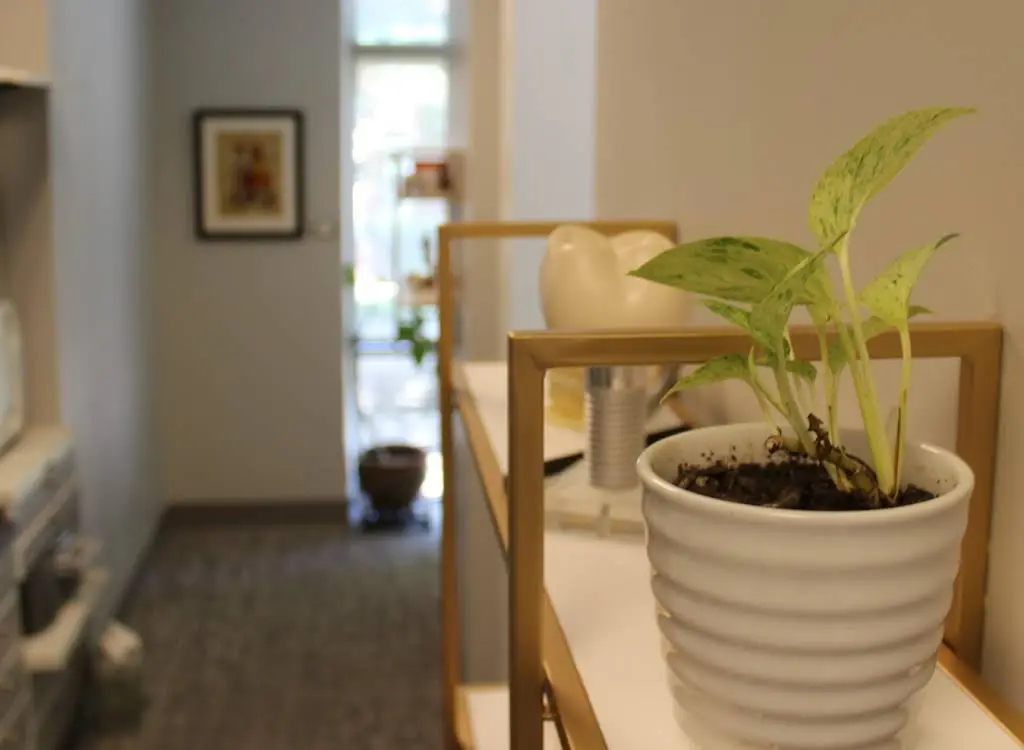 Inman Park Dentistry