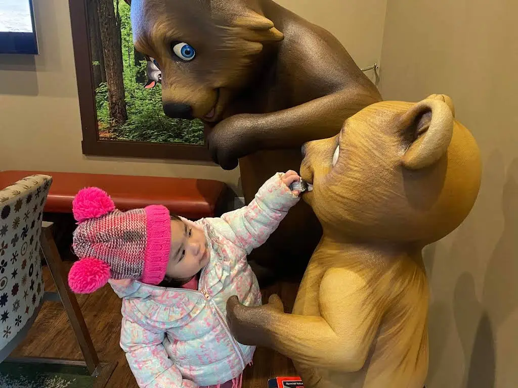 The Smile Lodge Pediatric Dentistry