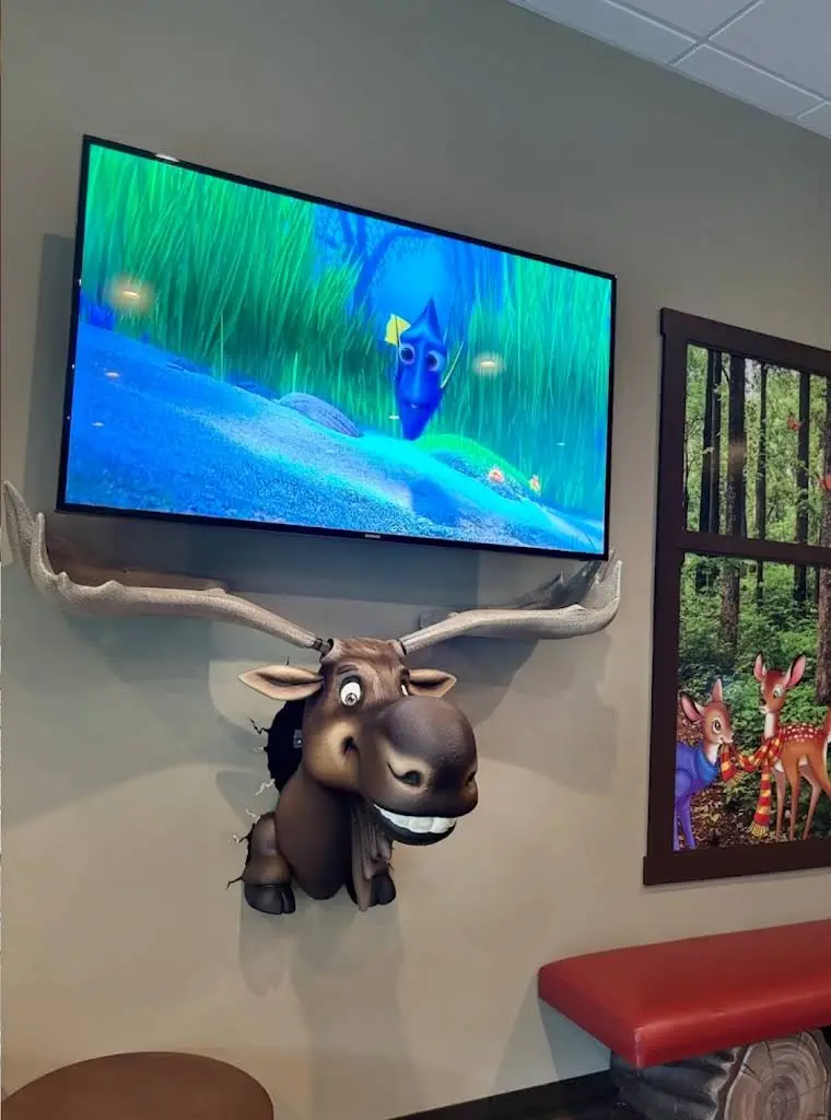 The Smile Lodge Pediatric Dentistry
