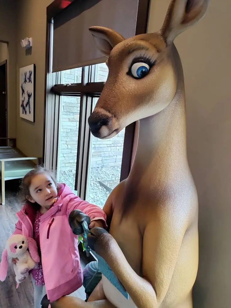 The Smile Lodge Pediatric Dentistry