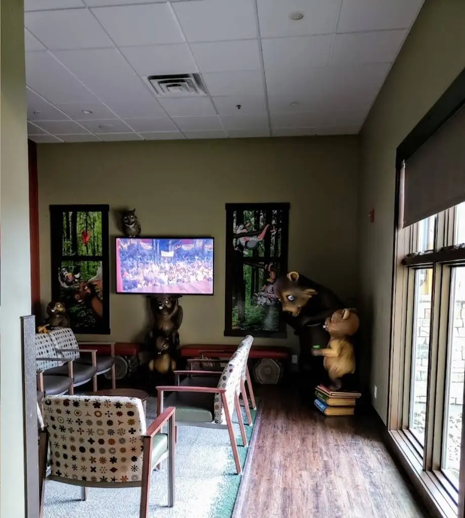 The Smile Lodge Pediatric Dentistry