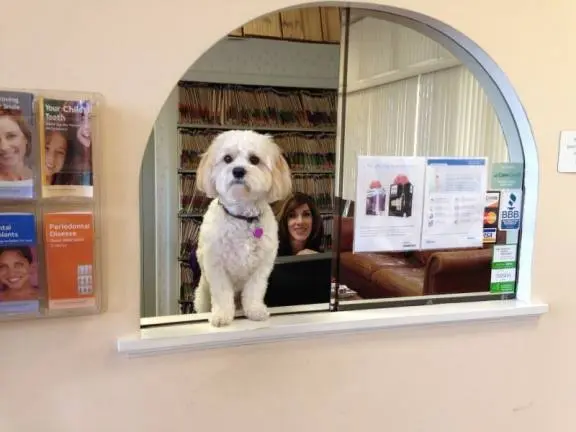Clifton Park Dental