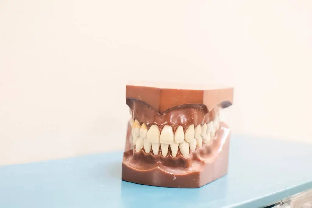 Mountain View Dental
