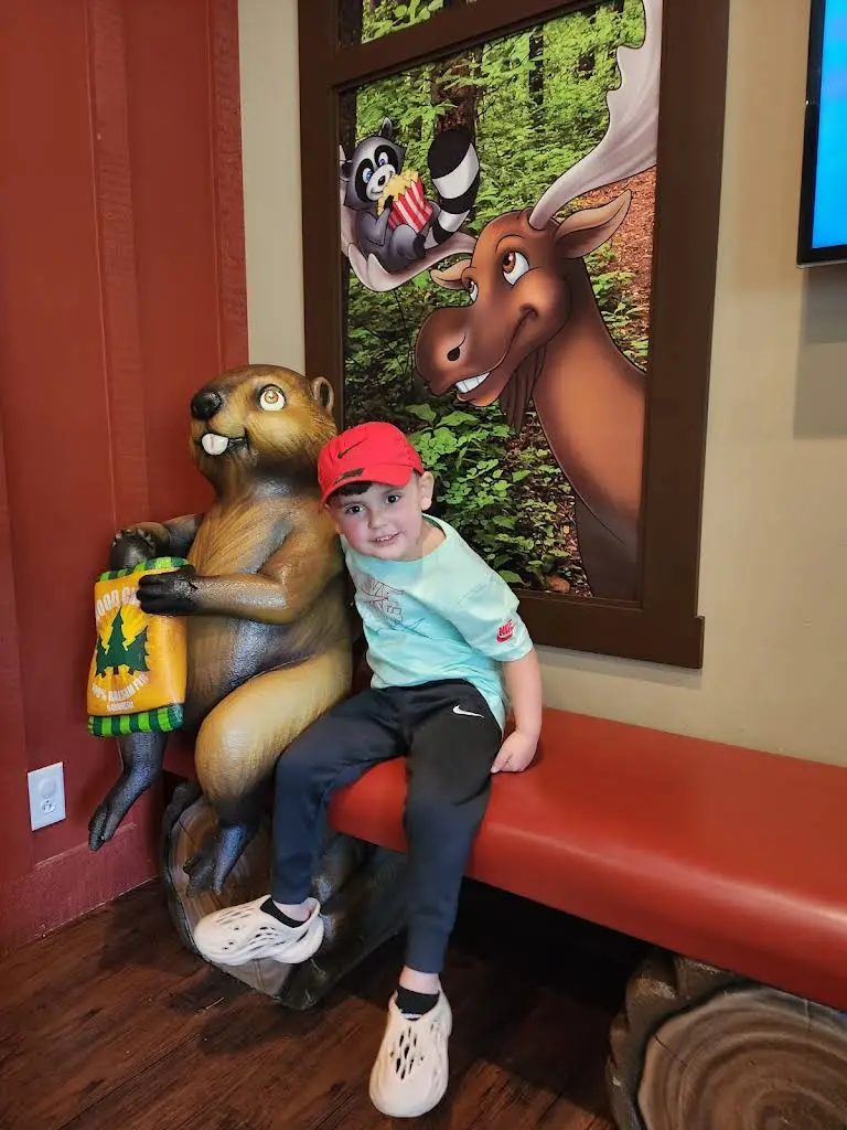 The Smile Lodge Pediatric Dentistry
