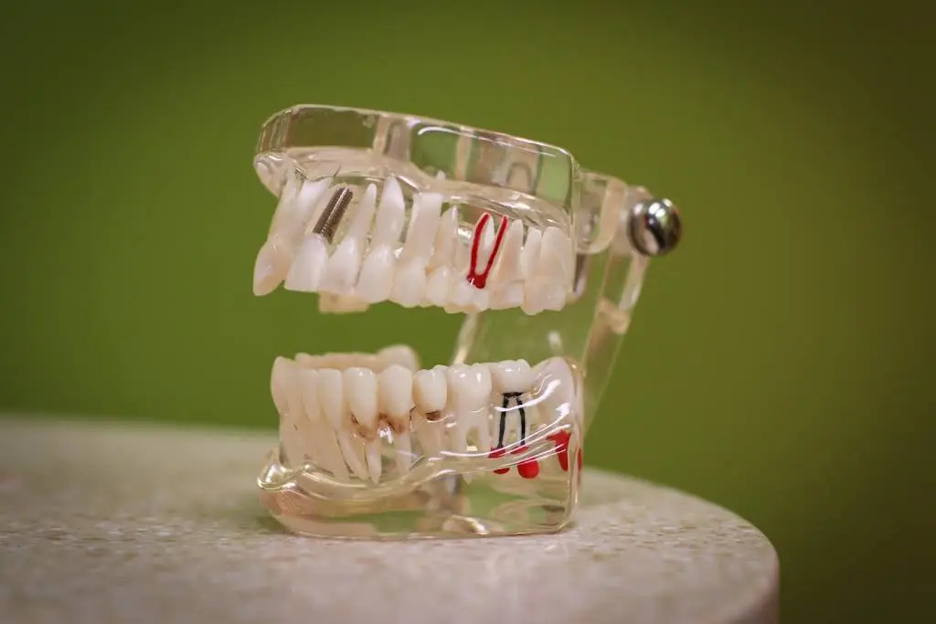 Dentistry & Orthodontics at Kennesaw Point