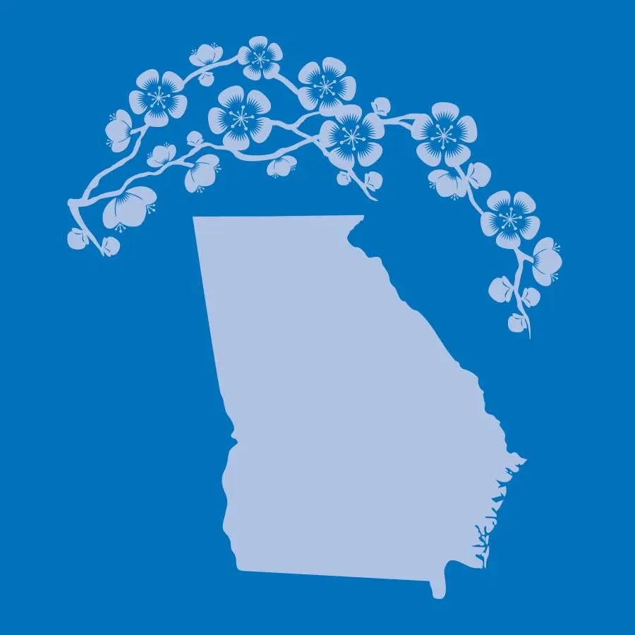 Georgia Dental Center