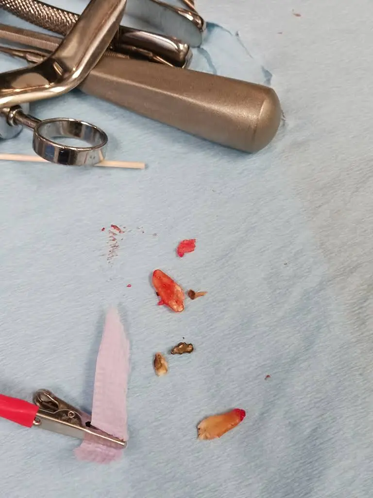 Towne Lake Family Dentistry