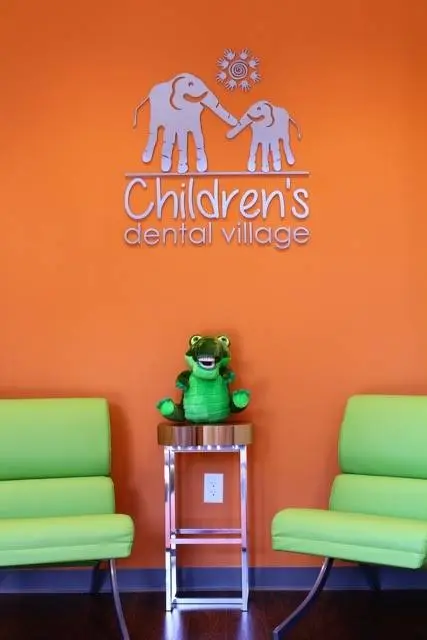 Children's Dental Village