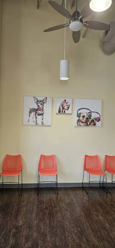 Georgia Orthodontics & Children's Dentistry
