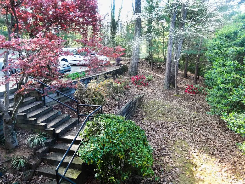 Atlanta Veterinary Dentistry