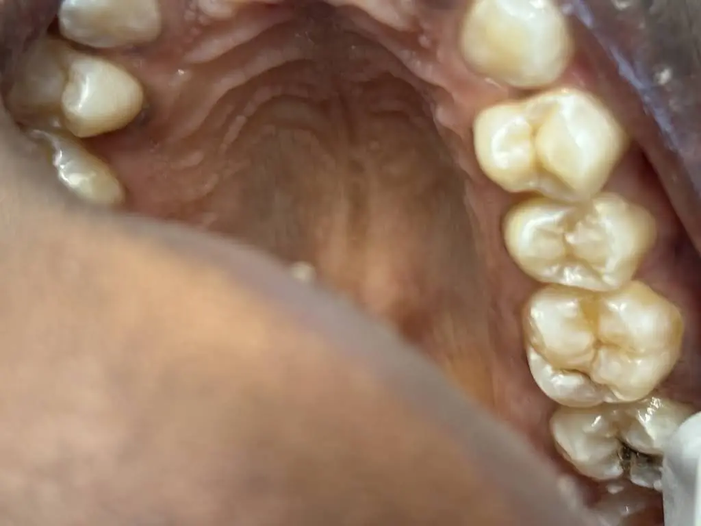 Pure Dental Health