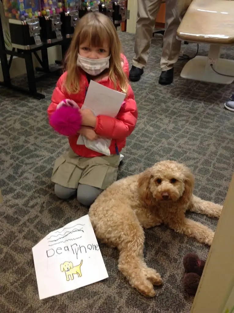 The Kids Tooth Doc