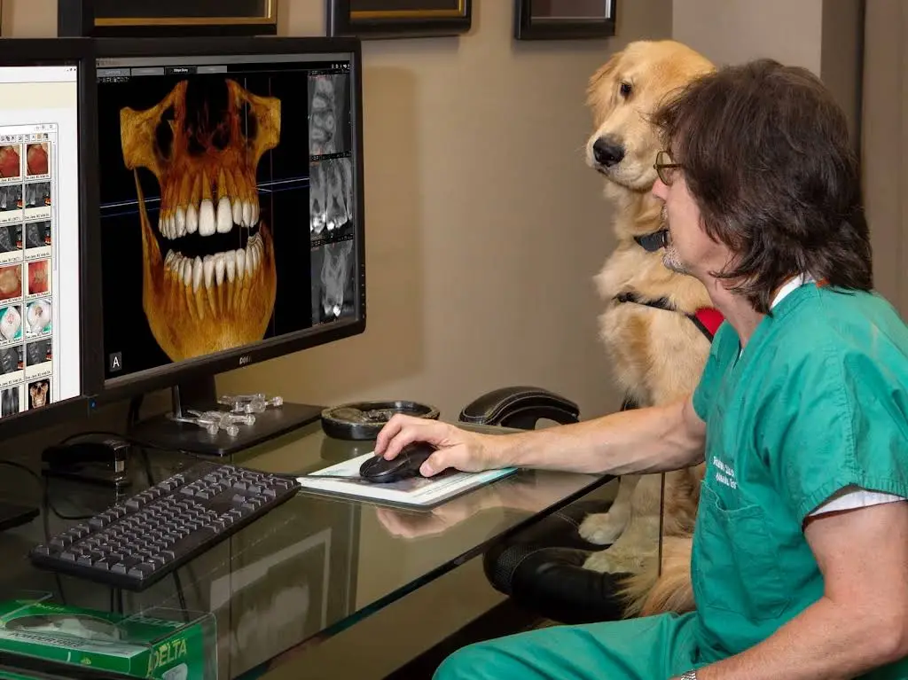 Atlanta Endodontics