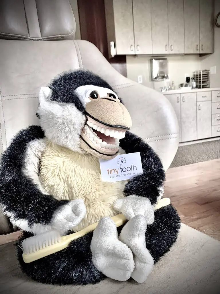 Tiny Tooth Pediatric Dentistry: Dr. Monica Sharma
