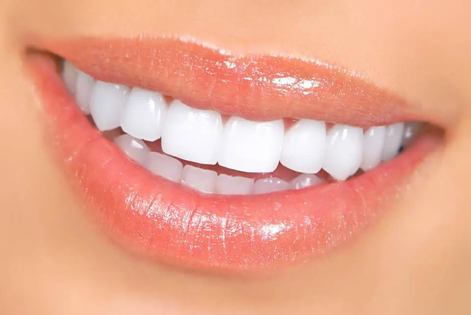 Muccioli Dental