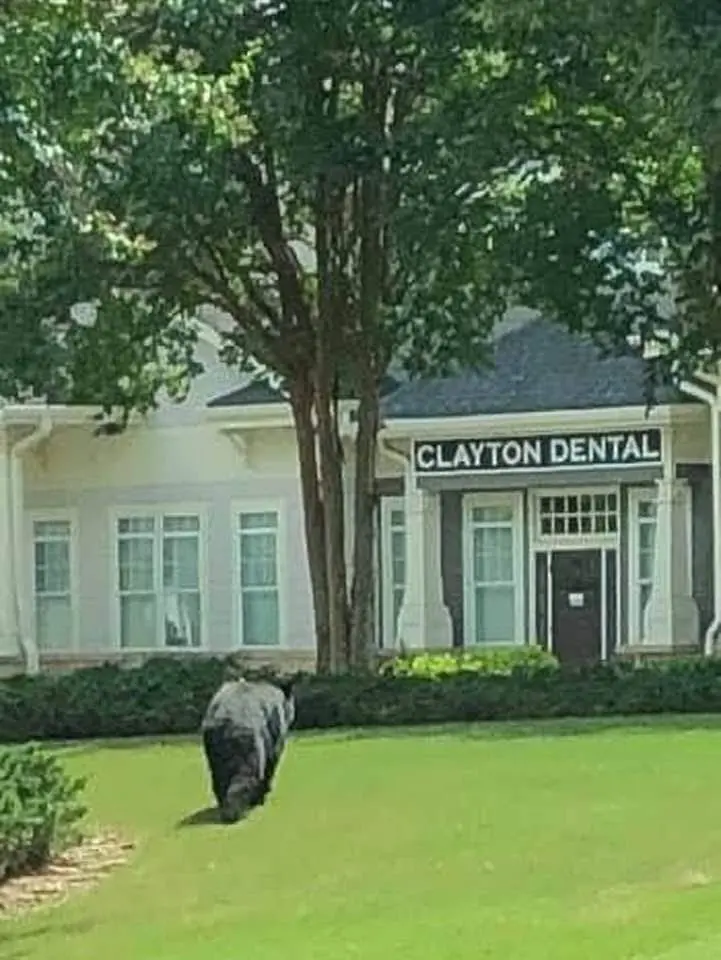 Clayton Dental