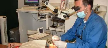 North Fulton Endodontics, PC