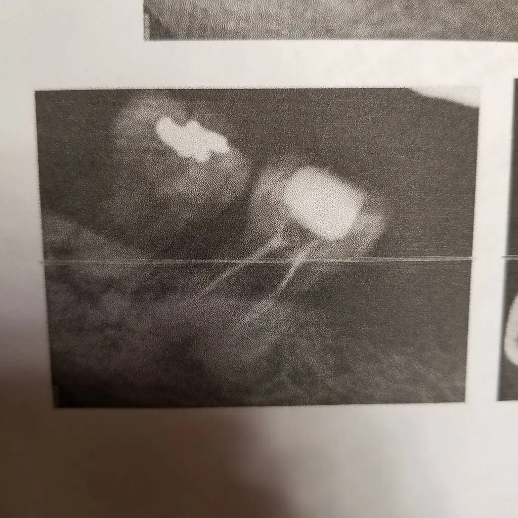 Howell Ferry Dentistry