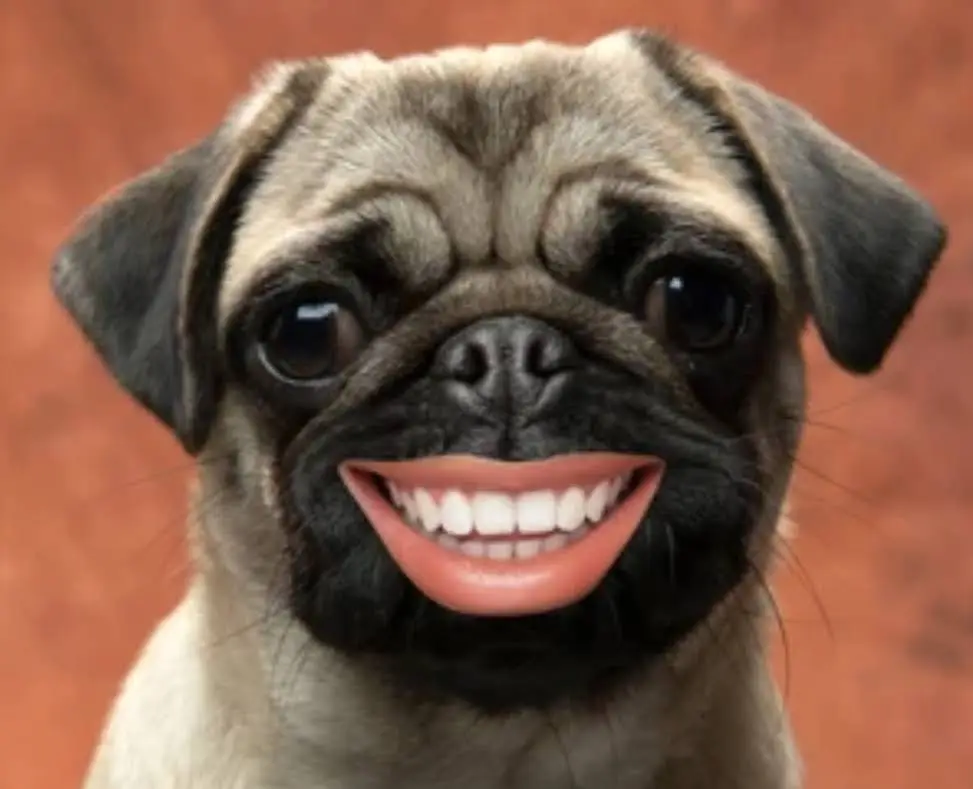 Lail Family Dentistry