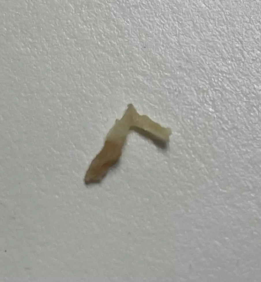 Polish Dental Center