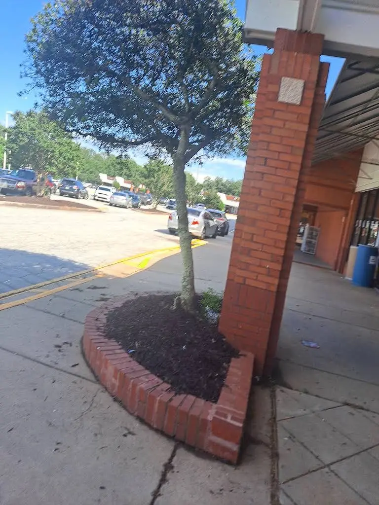 Stone Mountain Dental