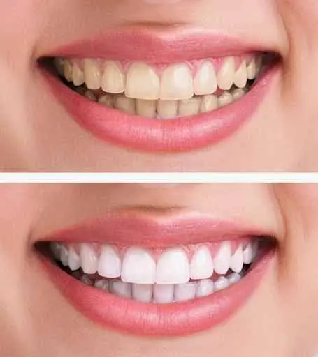 Oral Health Clinic