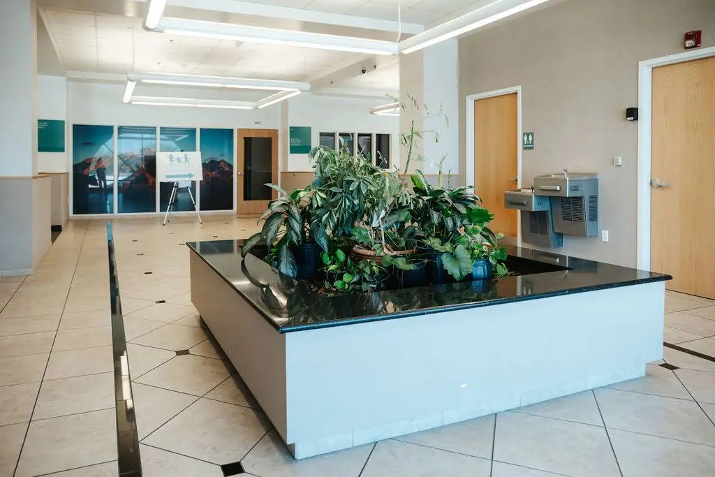 Genesis Dental