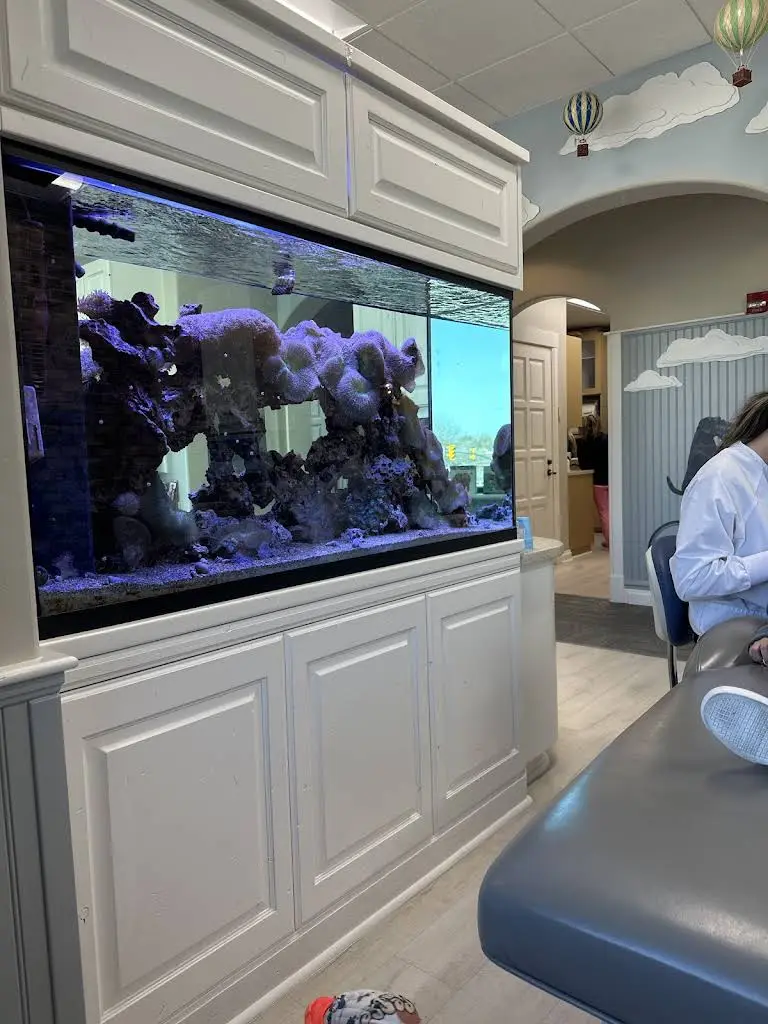 Redwood Pediatric Dentistry