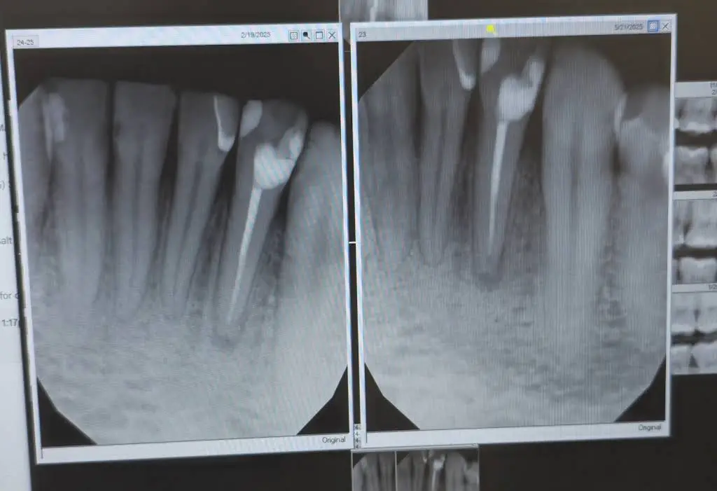 Professional Dental
