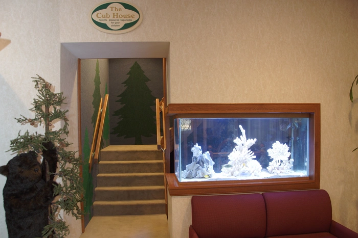 Pine Glen Dental Group