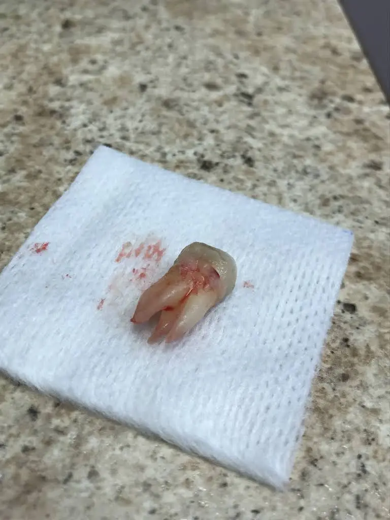 Access Dental & Orthodontics