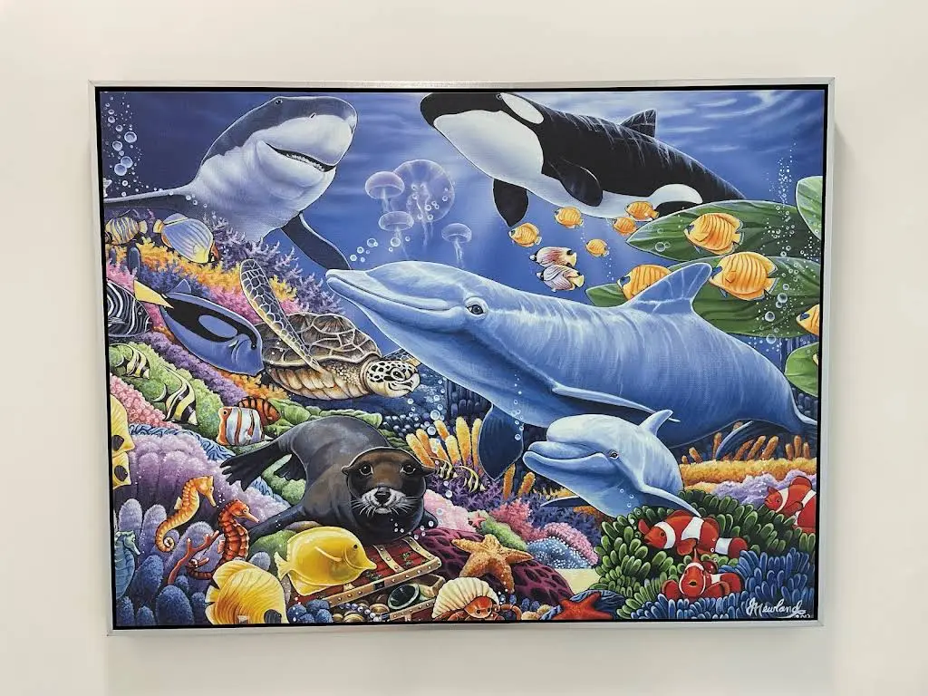 Smile Reef Pediatric Dentistry