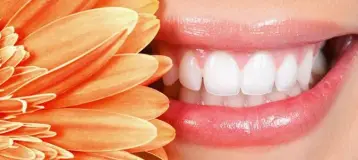 Valley Family Dental Care