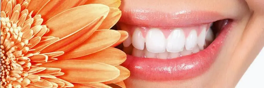 Valley Family Dental Care