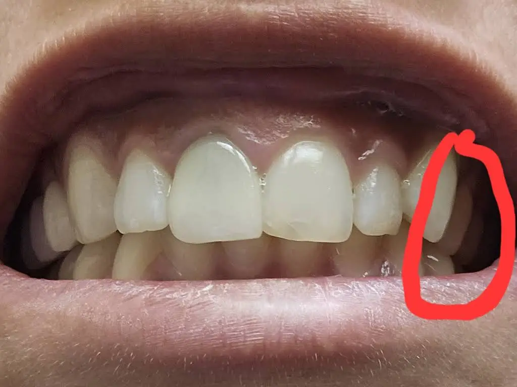 Nu Smile Dental